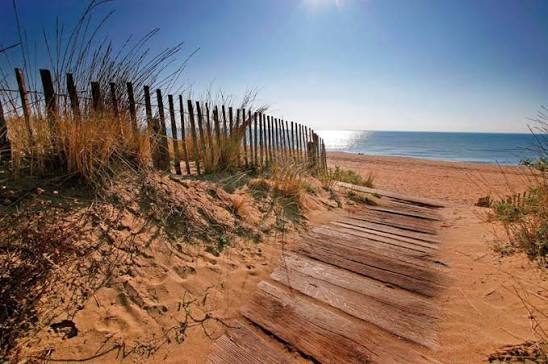 Plages naturelle des Orpellières Chez Cat et Bernard