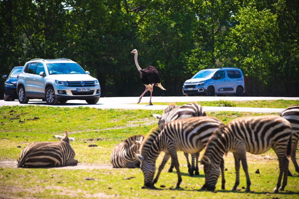 Réserve Africaine de Sigean Chez Cat et Bernard